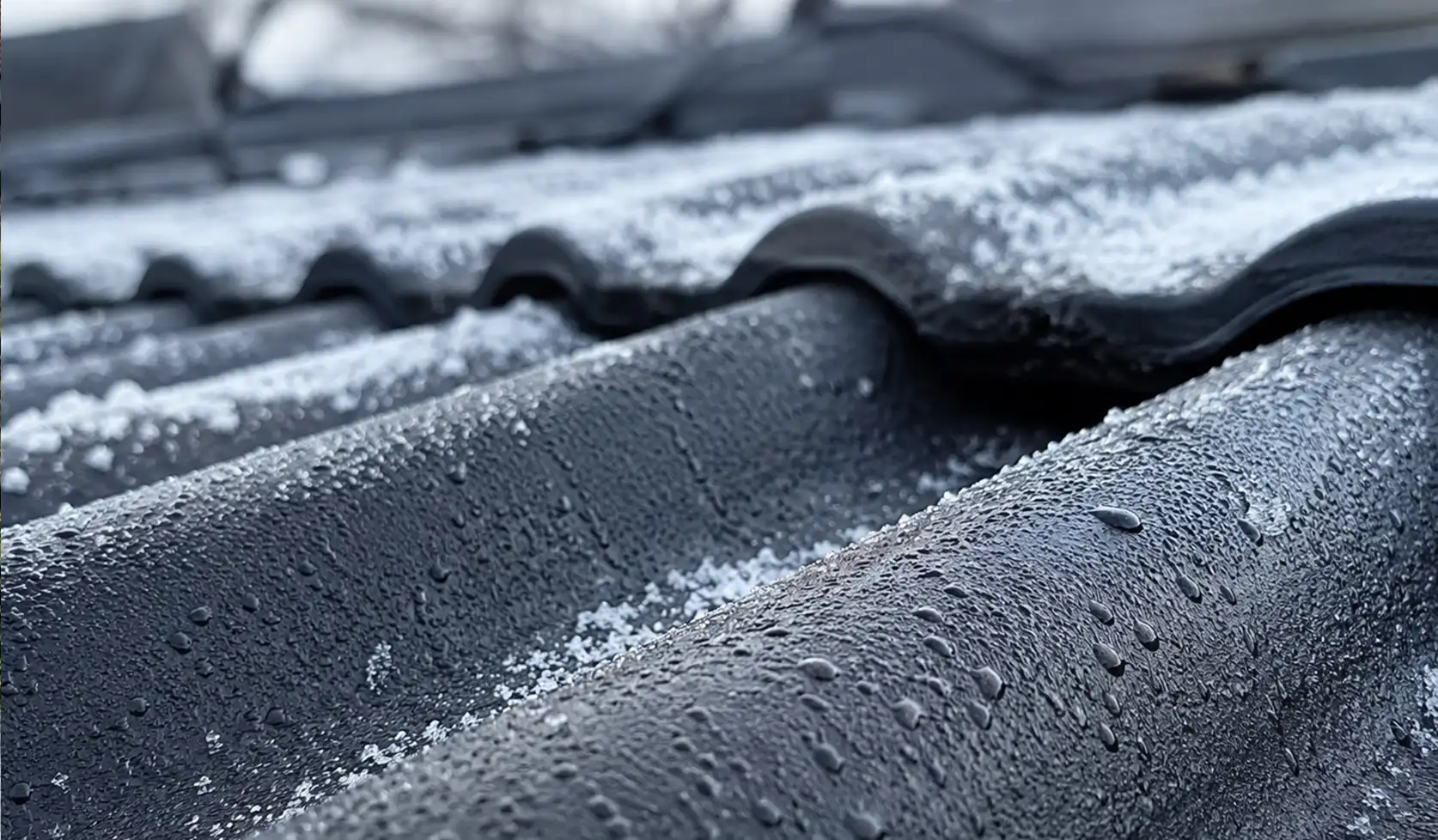 Schutz vor Taunusfrost