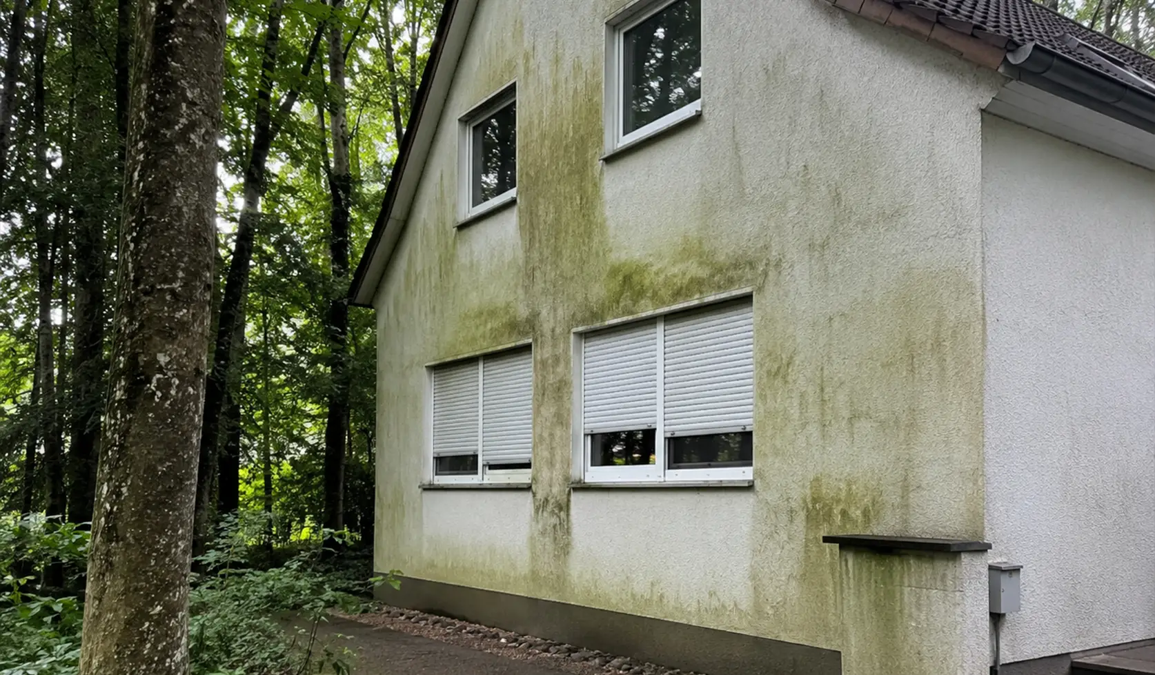 Spezialist für waldnahe Lagen